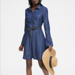 Banana Republic TENCEL™ Fit-and-Flare Shirt Dress